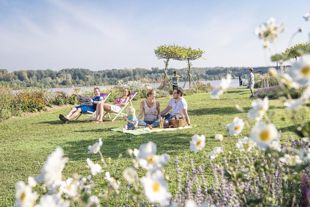 Hotel Tullnerfeld Tulln An Der Donau Exteriér fotografie